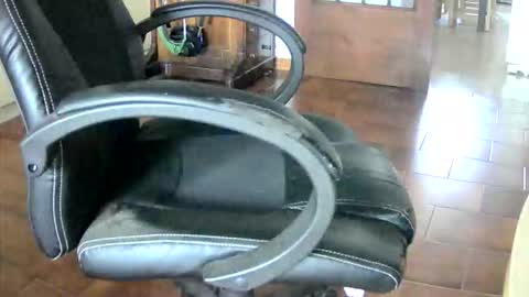 Tobiko online show from November 17, 3:36 pm