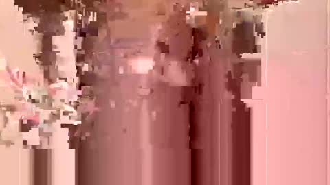 Toby Obeys online show from October 27, 3:39 am