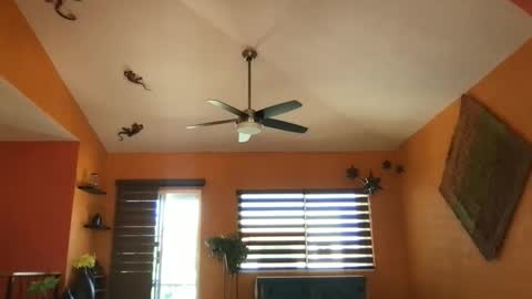 Snapshot of tomascausa chatting on October 27, 6:52 pm Hola online show from October 27, 6:52 pm