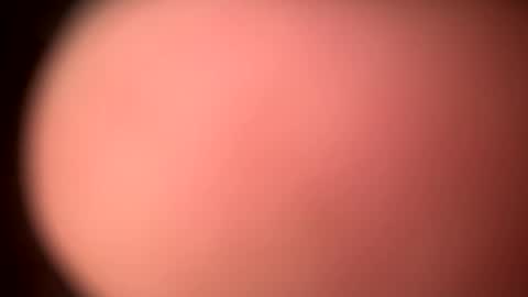 toneda online show from September 11, 10:16 am