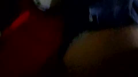 totonio666 online show from August 6, 8:01 am