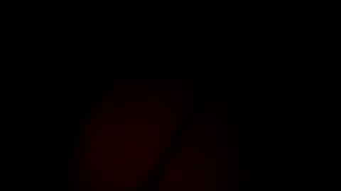 trans939177 online show from December 2, 12:56 am