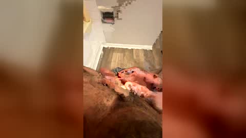 trifling_smok3 online show from June 6, 7:42 pm