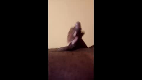 Antique-Shirt2516 online show from April 22, 4:19 am