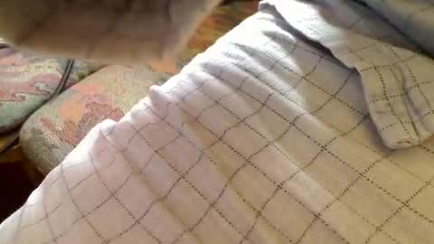 trobelle online show from April 26, 8:56 am