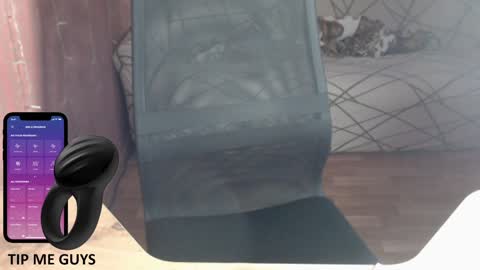 Snapshot of trone41 chatting on December 18, 2:53 am I POST MY FUCKING VIDEOS AND PICS    online show from December 18, 2:53 am