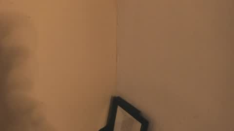 Turner online show from April 18, 7:07 pm