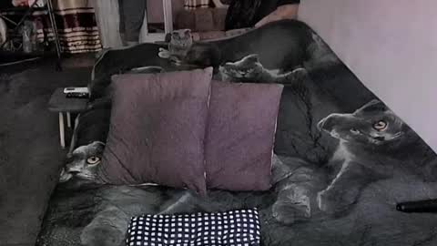 Lana online show from March 30, 12:12 am