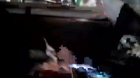 Snapshot of twiztidleeanna69 chatting on December 11, 5:47 pm Tintilizing Excitement online show from December 11, 5:47 pm