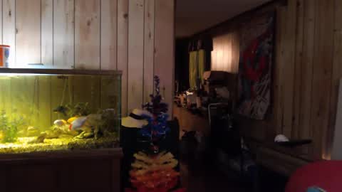 twocumkerry online show from February 13, 8:06 am