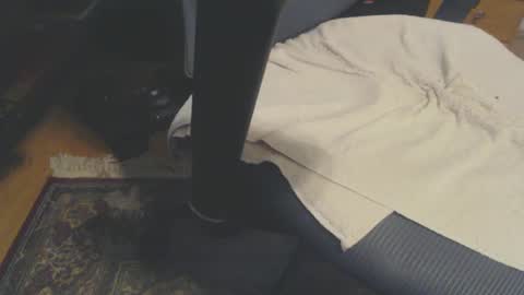 txpussyhound online show from December 20, 7:50 pm