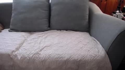 Tyler Sands online show from October 19, 1:38 pm