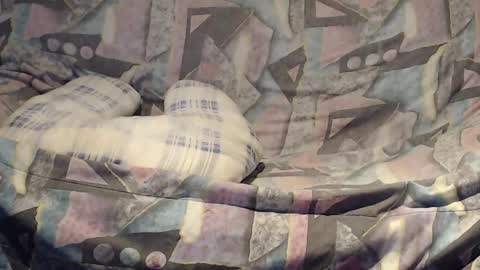 Helena and Tyson online show from February 23, 4:17 am