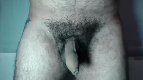 Dylan online show from October 2, 11:42 am