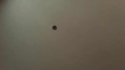 usefulhole online show from September 23, 11:15 am