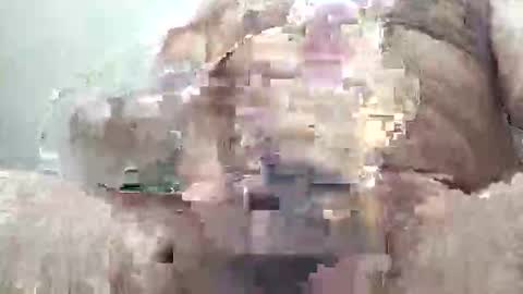 Tonight i need watchers thanks online show from December 22, 3:19 pm