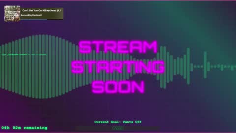 vannivr online show from January 26, 2:56 am