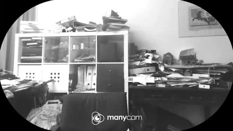 vejun2025 online show from September 11, 7:37 pm