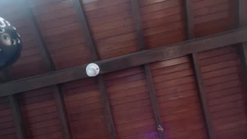 Venus Evans online show from February 12, 2:56 am