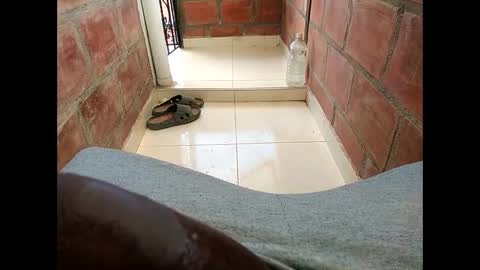 ver_gonblack online show from February 12, 6:19 pm