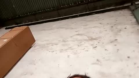 verdugo_32 online show from February 24, 3:26 pm