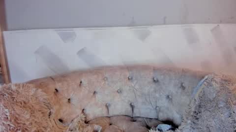 violetwinters_ online show from April 14, 8:06 am