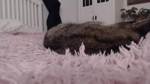 Visceratio online show from February 7, 9:15 pm