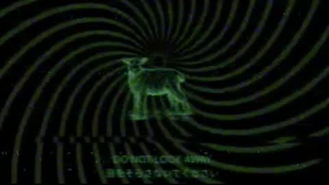 vortexspecter online show from April 14, 11:08 pm