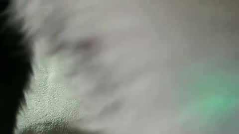 Daniel online show from February 28, 7:56 pm