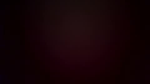 w2456 online show from December 5, 7:33 pm