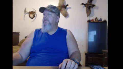 walkingbird online show from November 7, 11:40 pm