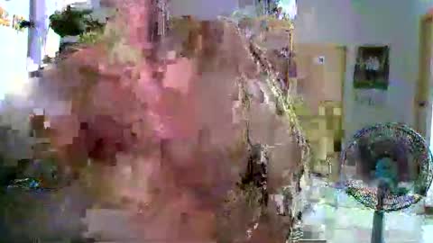 walleja online show from October 1, 12:59 pm