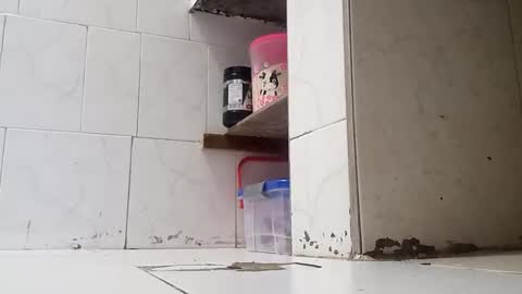 WaltherFeet  online show from January 2, 9:50 pm