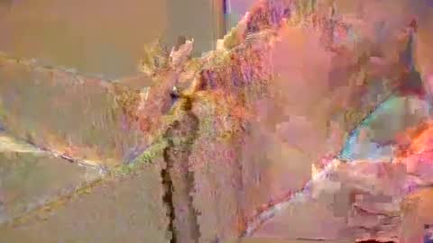 Snapshot of want2cum4gal chatting on December 29, 10:47 pm want2cum4gal online show from December 29, 10:47 pm