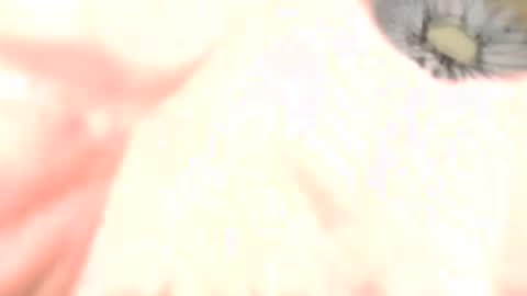 wantmymantofukme online show from November 6, 9:29 pm