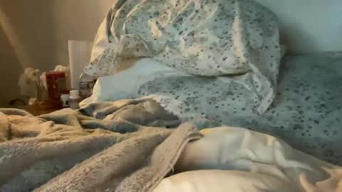 waveonce online show from March 29, 11:34 am