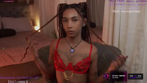 Wayuu Goddess  3 online show from February 6, 4:10 pm