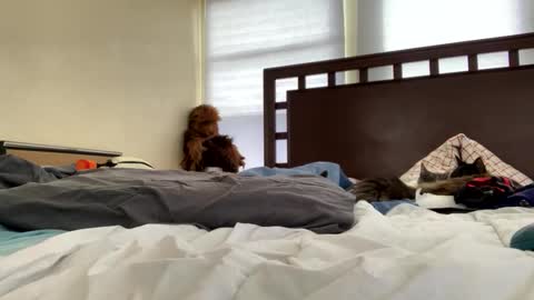 weedwacker43 online show from March 7, 6:19 pm