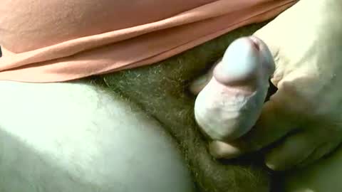 welshstuds online show from September 30, 12:04 pm