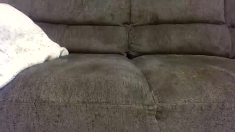 whereismymarrylou online show from January 11, 12:05 am