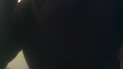 Whiteduke online show from January 3, 12:33 am