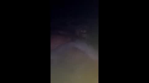 whiteoak19522 online show from March 26, 9:58 am