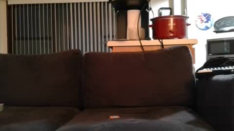 whosten0 online show from December 4, 4:23 am