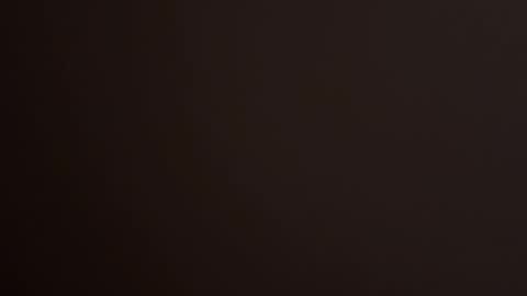 VI online show from February 14, 10:29 am