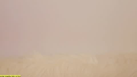 wild_schoolgirl online show from January 13, 10:24 pm