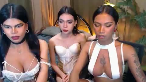 Snapshot of wildara chatting on October 23, 11:01 am wildara online show from October 23, 11:01 am
