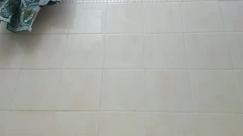 Snapshot of wilddope chatting on November 1, 2:01 am the alpha man online show from November 1, 2:01 am