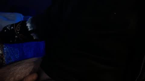 WildeAlex online show from December 19, 11:50 am