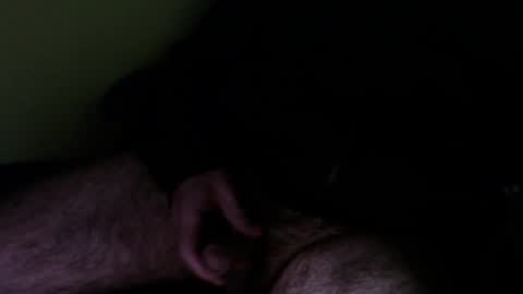 WildeAlex online show from December 9, 9:17 am