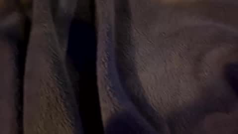 wiley0520 online show from January 15, 9:07 am